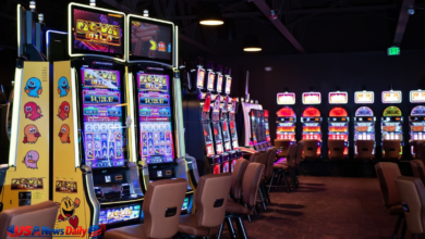 the brook casino