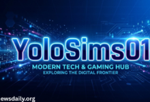 yolosims01