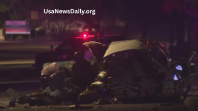 oceanside news car accident today